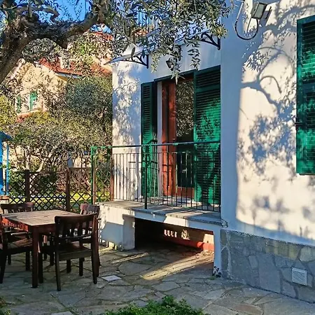 Tra Gli Ulivi Apartment *